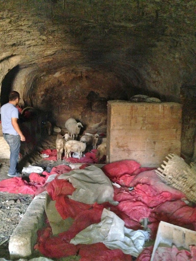 Köse Evi