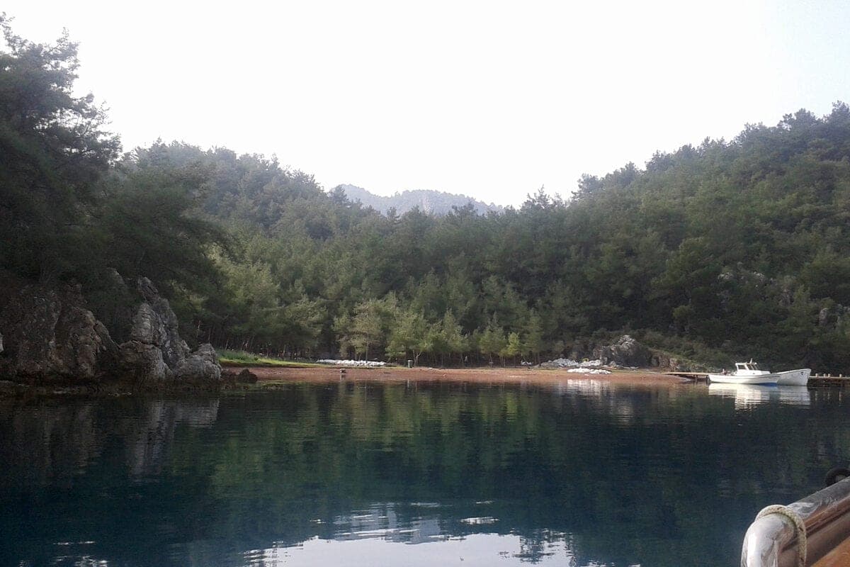 Orhaniye Ayışığı Evleri